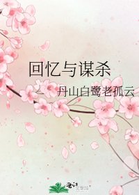 回忆与谋杀