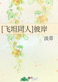 [飞坦同人]彼岸