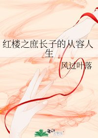 红楼之庶长子的从容人生