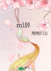 ml辞