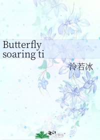 Butterfly soaring time