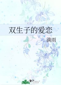 双生子的爱恋