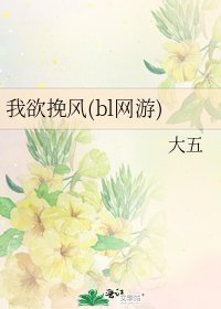 我欲挽風(bl網遊)