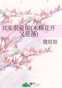 其实很爱你(木棉花开又花落)