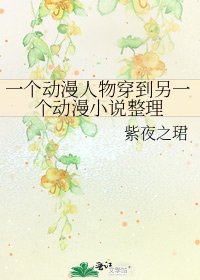 一个动漫人物穿到另一个动漫整理