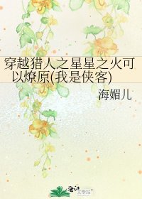 穿越獵人之星星之火可以燎原(我是俠客)