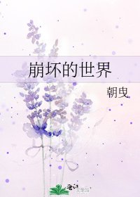 崩坏的世界