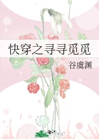 茅穿之尋尋覓覓