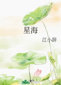 星海