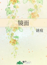 《镜面》