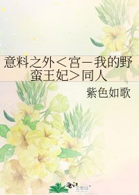 意料之外<宮-我的野蠻王妃>同人