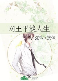 网王平淡人生