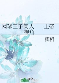 网球王子同人——上帝视角