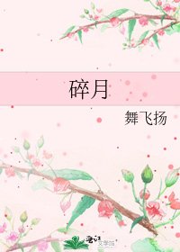 碎月