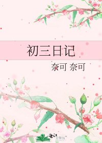 初三日记