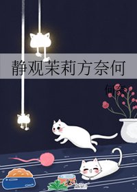 静观茉莉方奈何