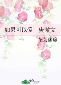 如果可以爱 庚澈文