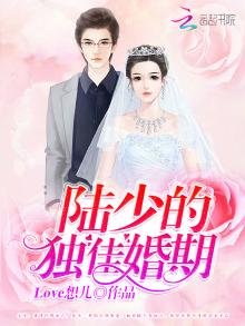 陸少的獨佳婚期
