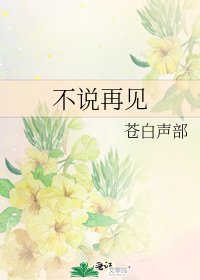 不说再见