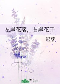 左岸花落,右岸花開
