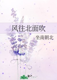 风往北面吹