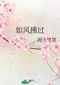 如风拂过