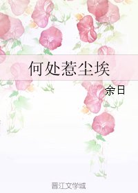 何处惹尘埃
