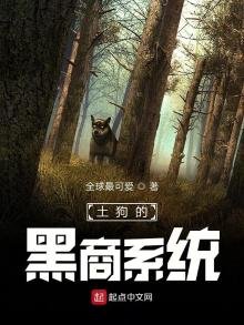 土狗的黑商系統