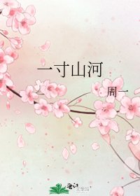 一寸山河