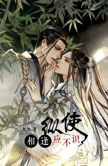 纵使相逢应不识