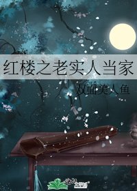 紅樓之老實人當家