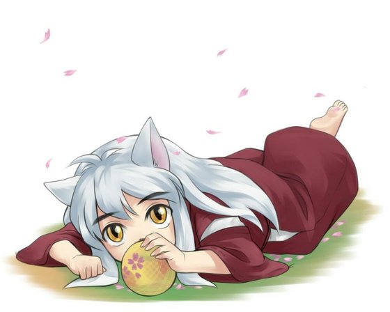 ［犬夜叉&刀剑乱舞］战国奇缘