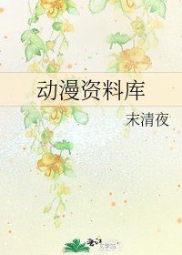 动漫资料库