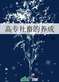 (綜漫同人)高專社畜的養成