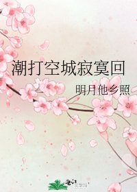 潮打空城寂寞回