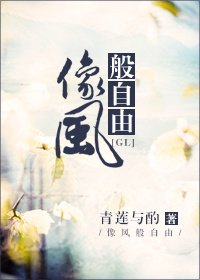 像风般自由GL