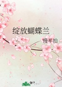 绽放蝴蝶兰