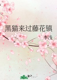 《黑猫来过藤花镇》