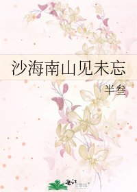 【沙海】南山未见忘
