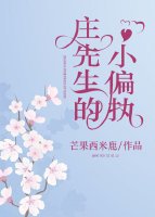 庄先生的小偏执