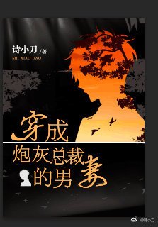穿成炮灰总裁的男妻