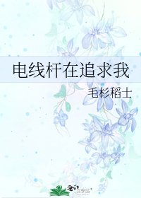 电线杆在追求我