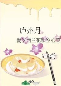 庐州月