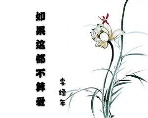 如果这都不算爱