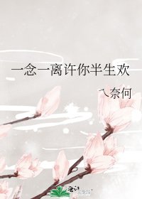 一念一离许你半生欢