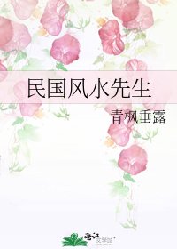 民國風水先生