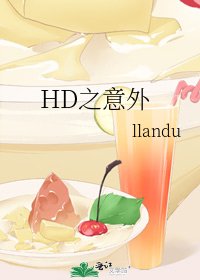 HD之意外
