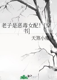 (穿书)老子是恶毒女配!