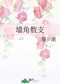 墙角数支