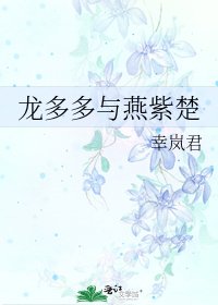 《龙多多与燕紫楚》